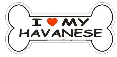 Love havanese bumper - love, my