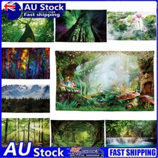 Nature Forest Spring