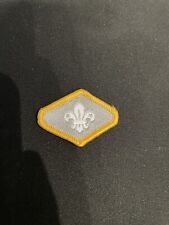 OLD Cub Scout Silver Award