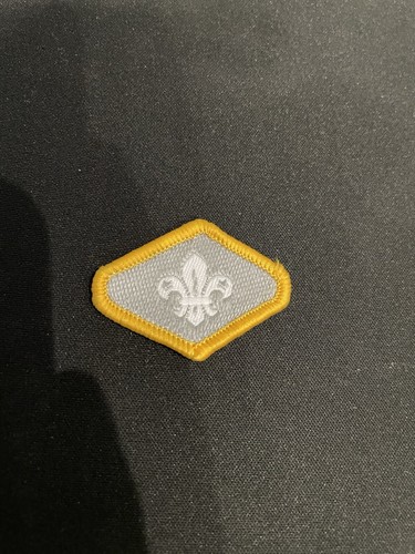 Old cub scout - scout, award
