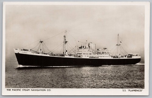 Flamenco pacific steam - ss,