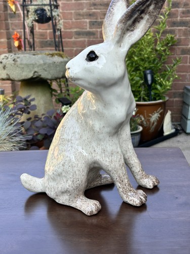 Winstanley arctic hare size - hare, 6