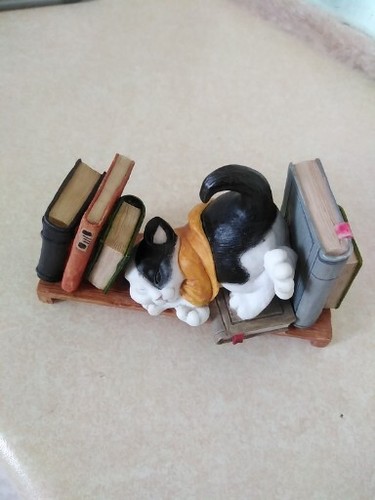 Worcester studio cat - worcester, nap