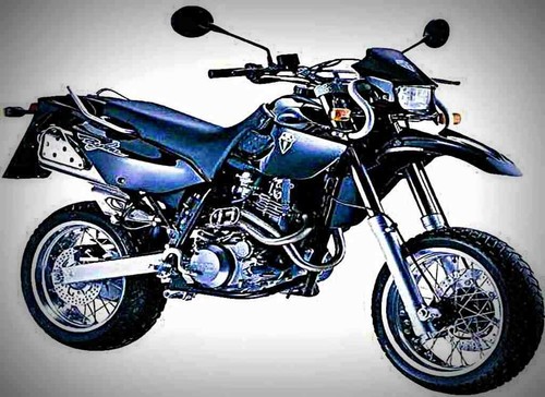 Metal sign baghira black - metal,