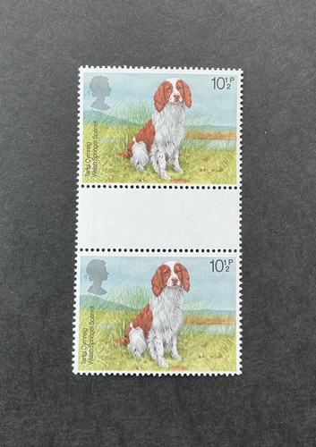 1979 welsh springer spaniel - welsh,
