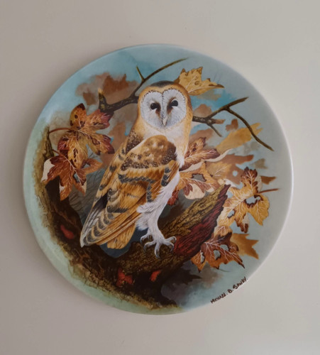 Lovely coalport the wise - 3,