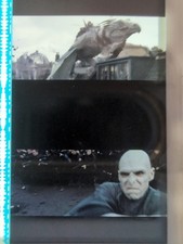 Harry Potter And The Deathly