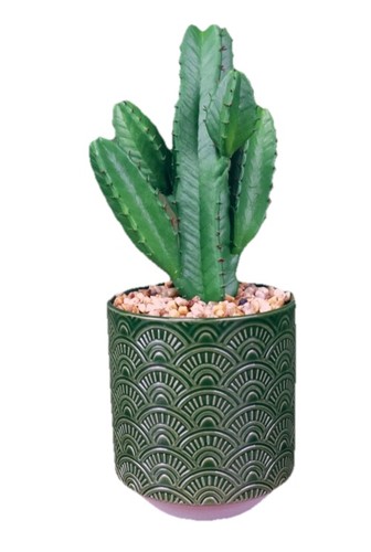 Artificial cactus with - artificial, green