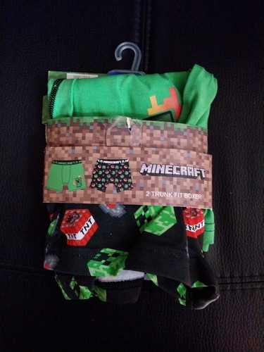 Older boys minecraft - older,