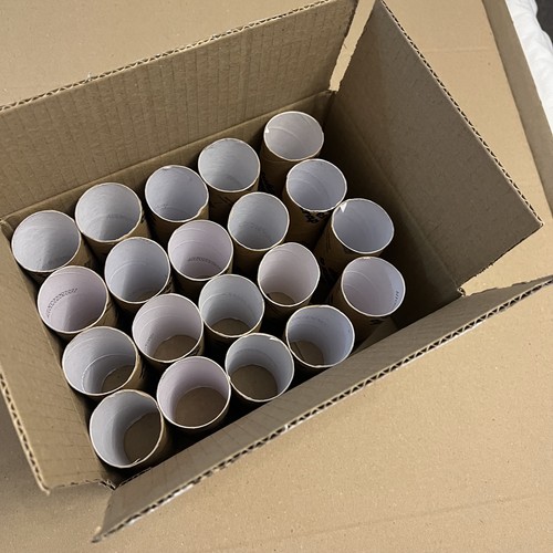 Empty toilet rolls - 20,