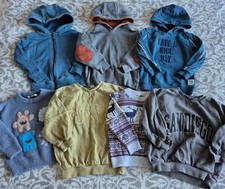 Boys Hoodies & Jumpers Age 2-3