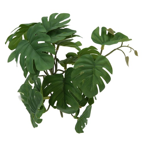 Reptile terrarium plant - terrarium,