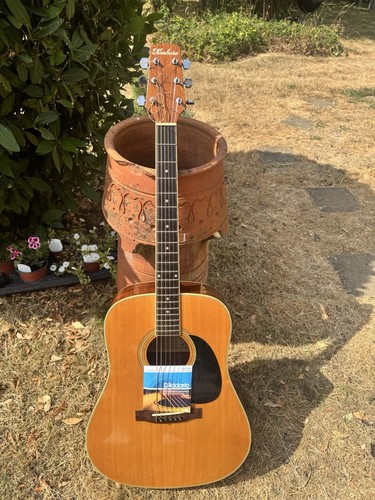Vintage kimbara acoustic - kimbara, d-71