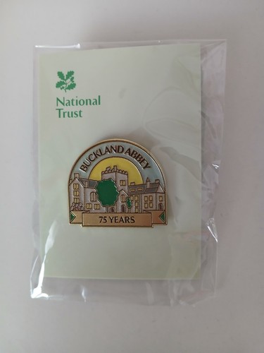 National trust pin badge