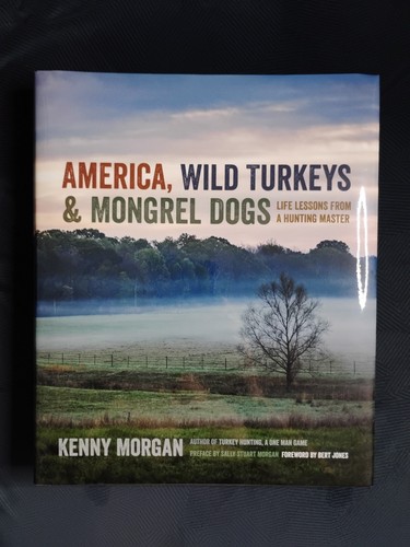 America wild turkeys - america,, &