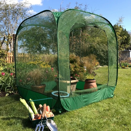 1 35m h allotment - x1.25, x
