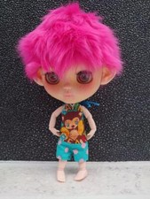 Custom Doll Freckles Pullip