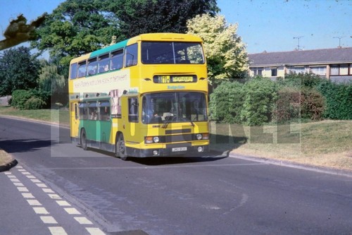 35mm slide badgerline - badgerline, leyland