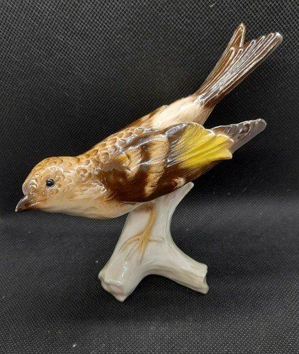 Goebel bird brambling in - goebel,