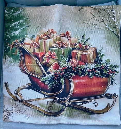 Festive sleigh christmas - festive,