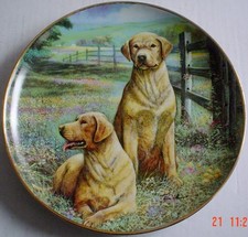 Lovely Franklin Mint Labrador