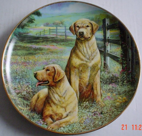 Lovely franklin mint labrador - lovely,