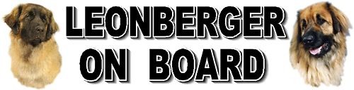 Leonberger board car - on,