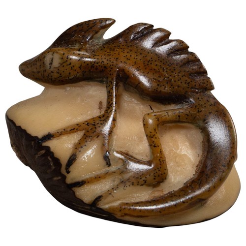 Water walker jesus lizard - walker,
