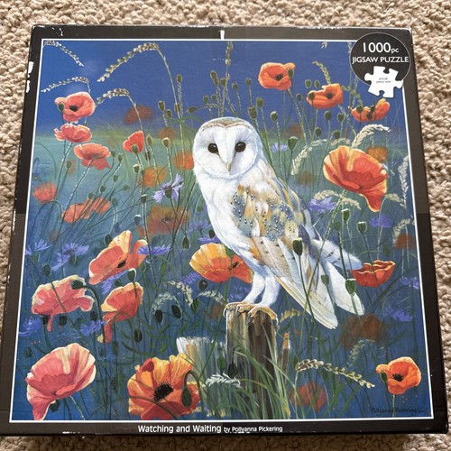 Barn owl pollyanna pickering - owl,