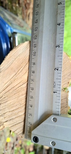 Boxwood log for - boxwood, woodturning