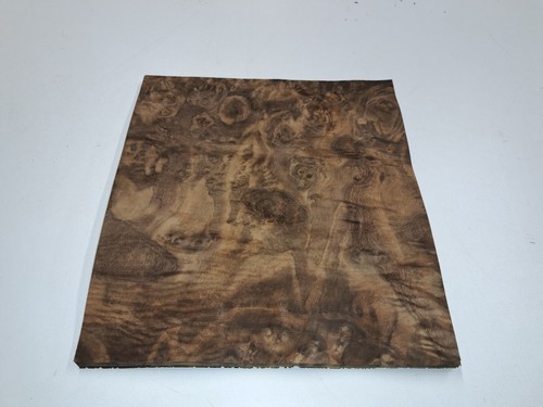 Burr walnut veneer - veneer, natural