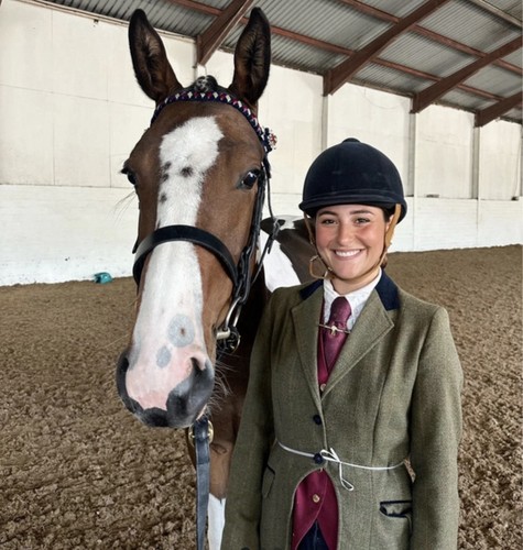 Pretty ponies green tweed - ponies,