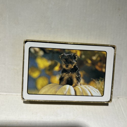 Vintage yorkie puppy - yorkie,