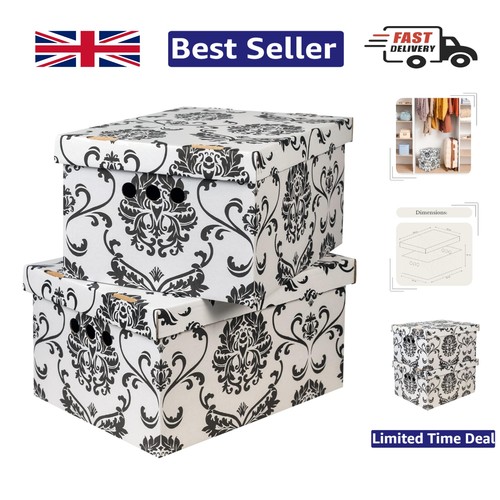 Luxury black garden cardboard - luxury,