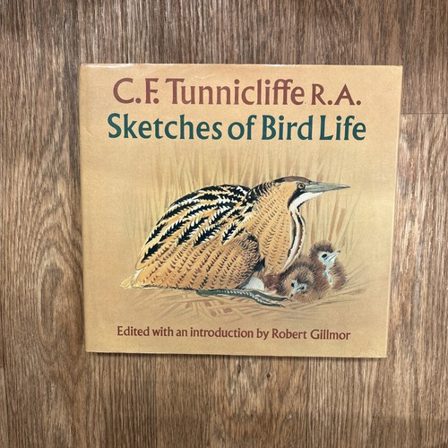 1981 sketches bird - 1981, of