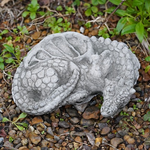 Curled dragon stone statue - curled,