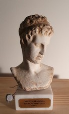 Head & Shoulder Of A Greek