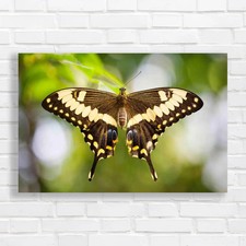 Unlocking The Mystery