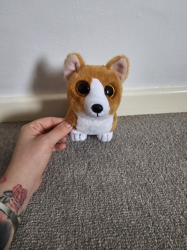 Beanie boos colin - the, corgi