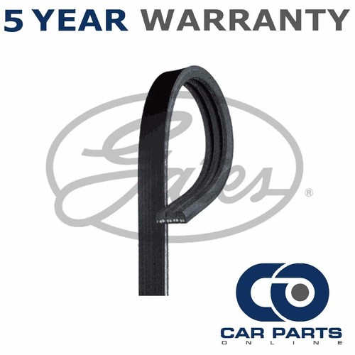 Gates ribbed belts - v-ribbed,