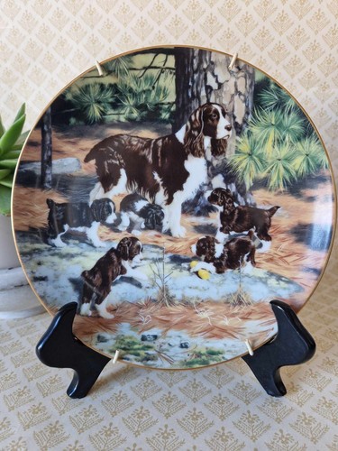 Springer spaniels plate - springer,
