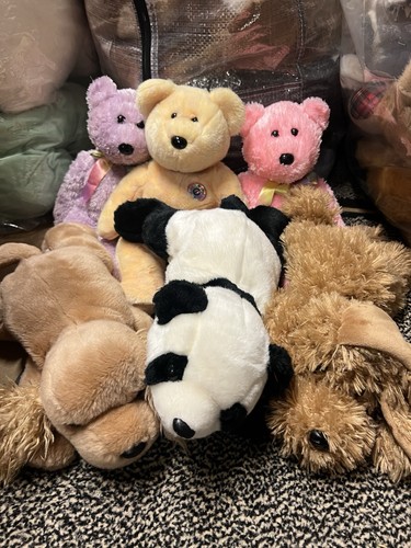 Beanie buddies bundle - beanie, 6