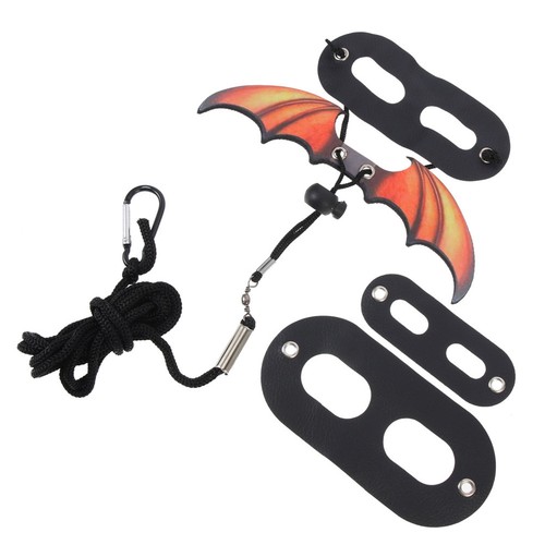 Set lizard leash - lizard, bearded