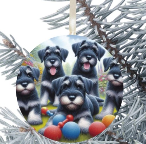 Giant schnauzer dog hanging - dog,