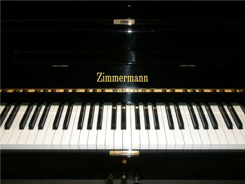 Zimmermann metallic gold piano - zimmermann,