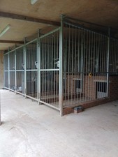 NO RESERVE 5 Dog Kennels Compound Heavy Duty Galvanised Steel