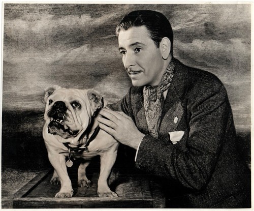 Ronald colman bulldog - colman,