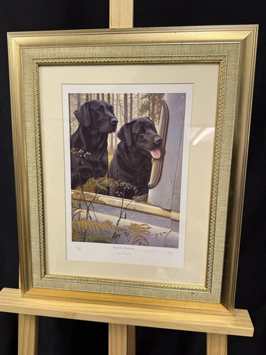 Quality framed pick up - framed, "pick-up