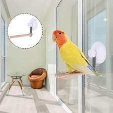 Suction cup bird perch window - perch,