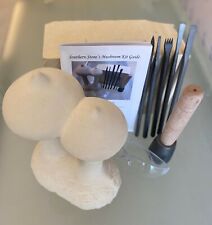 Stone Carving 'Toadstool'  Kit